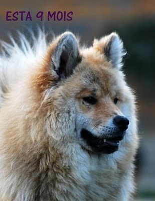 Esta des Légendes de Retz