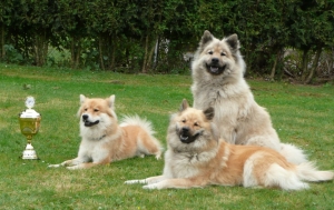 Baby-Amy (liegend), Rusty (sitzend), Amy (liegend)