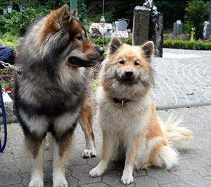 Daaron und Amy