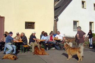 Eurasierspaziergang Fränkische Schweiz