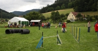 Hundeplatz Wolfach