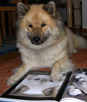 Amy mit Buch